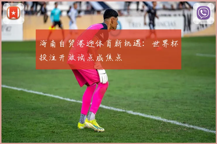海南自贸港迎体育新机遇：世界杯投注开放试点成焦点