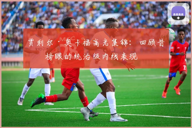 贾利尔·奥卡福高光集锦：回顾昔日榜眼的统治级内线表现