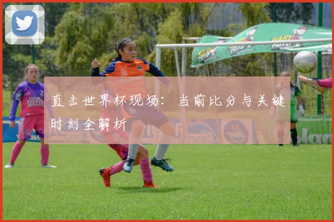 直击世界杯现场：当前比分与关键时刻全解析