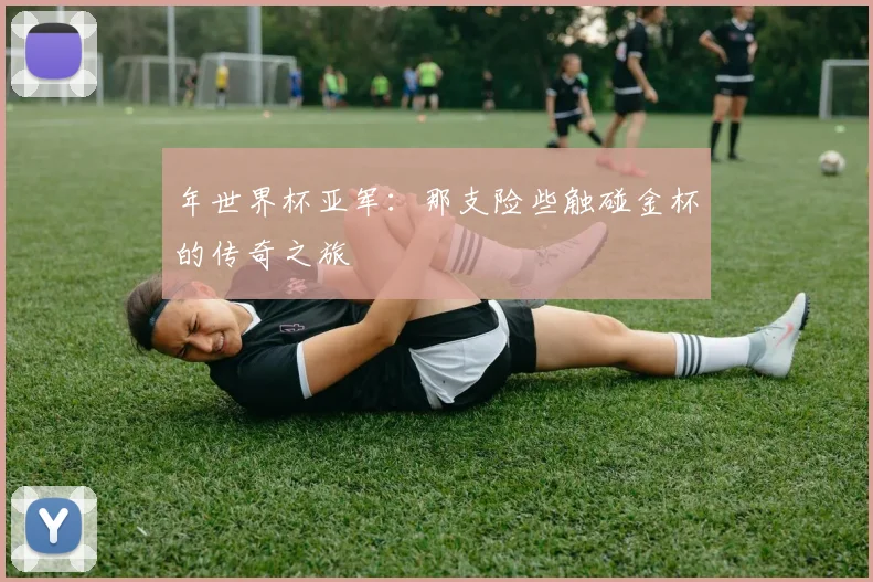 年世界杯亚军:那支险些触碰金杯的传奇之旅