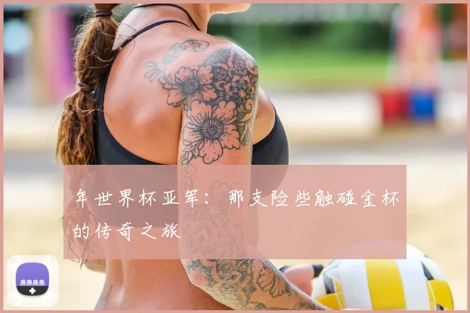 年世界杯亚军:那支险些触碰金杯的传奇之旅