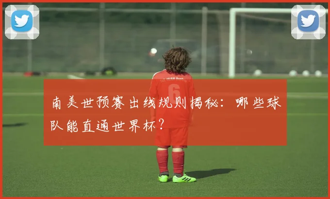 南美世预赛出线规则揭秘：哪些球队能直通世界杯？