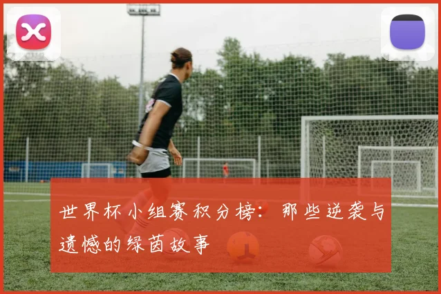 世界杯小组赛积分榜：那些逆袭与遗憾的绿茵故事
