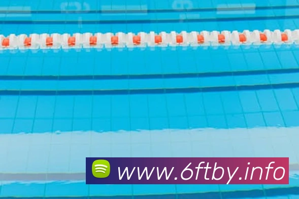 九游官方入口平台生态图